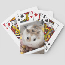 Hammyville - Niedlicher Hamster