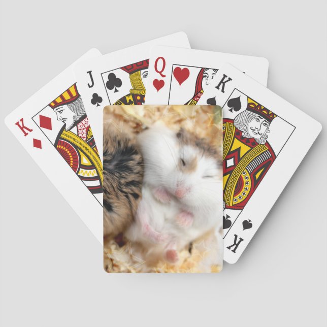Hammyville - Niedlicher Hamster Spielkarten (Rückseite)