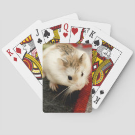 Hammyville - Niedlicher Hamster Spielkarten
