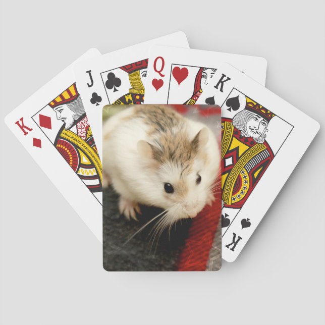 Hammyville - Niedlicher Hamster Spielkarten (Rückseite)