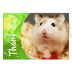 Hammyville - Niedlicher Hamster Vielen Dank