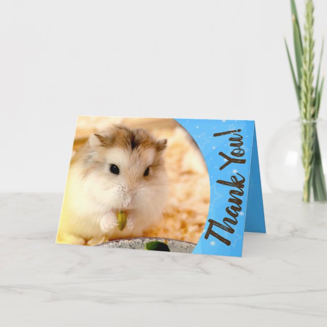Hammyville - Niedlicher Hamster Vielen Dank Dankeskarte (Vorderseite)