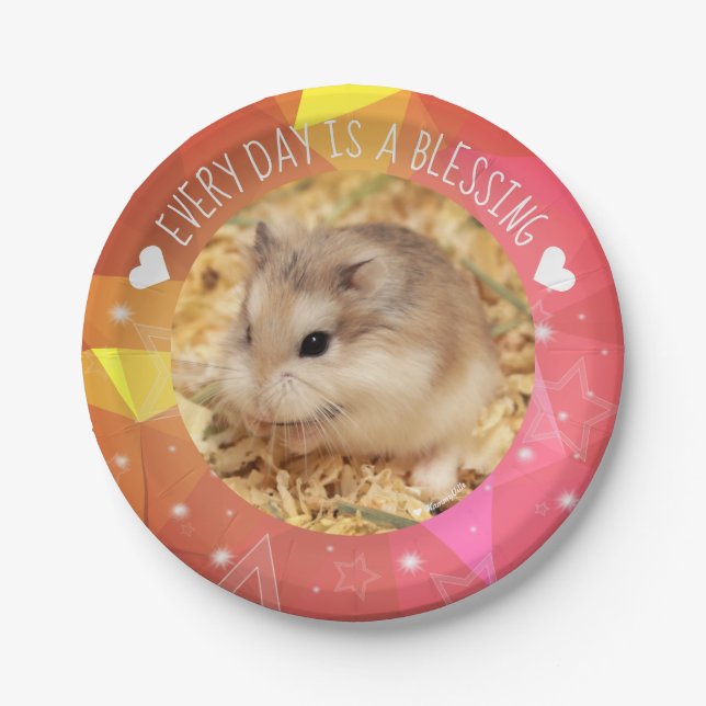 Hammyville - Niedlicher Robo Hamster Blessing Pappteller (Vorderseite)
