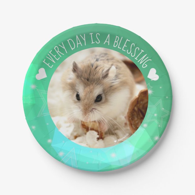 Hammyville - Niedlicher Robo Hamster Blessing Pappteller (Vorderseite)