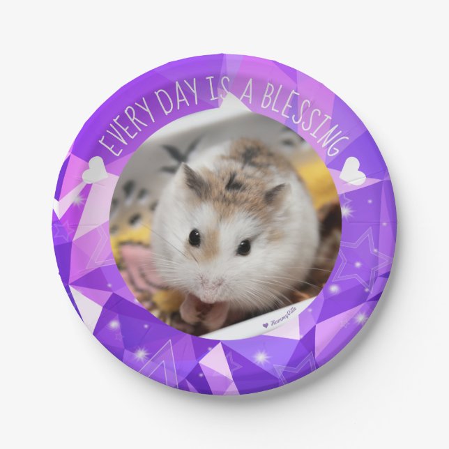 Hammyville - Niedlicher Robo Hamster Blessing Pappteller (Vorderseite)
