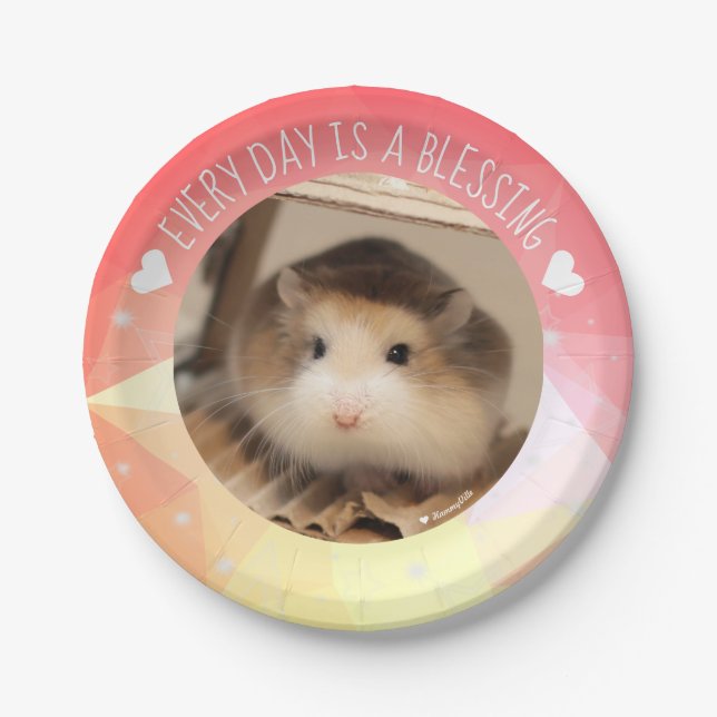 Hammyville - Niedlicher Robo Hamster Blessing Pappteller (Vorderseite)