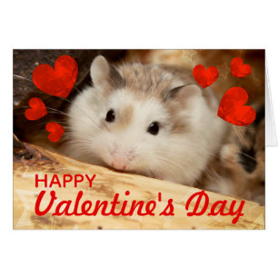 HammyVille - niedlicher Robo HamsterValentine