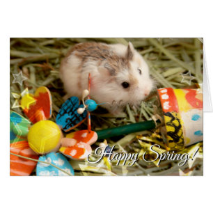 Hammyville - Spring Blume Hamster