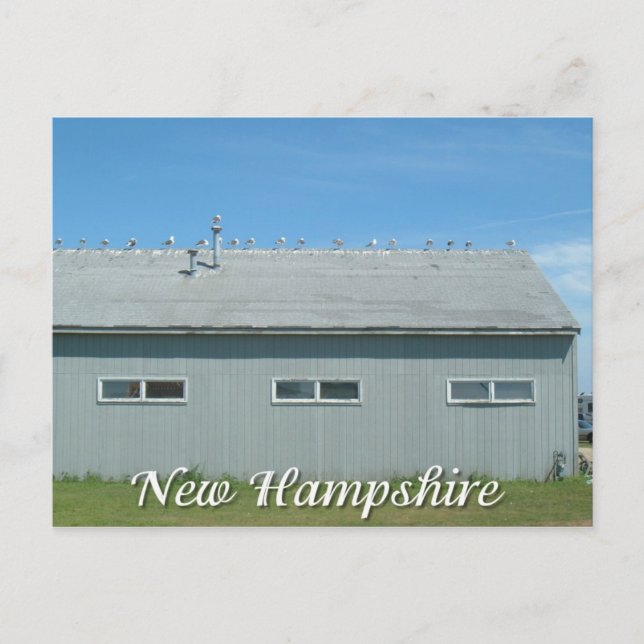 Hampton Beach, Seegras aus New Hampshire Postkarte (Vorderseite)
