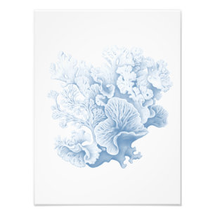 Hampton Coral soft blue Fotodruck