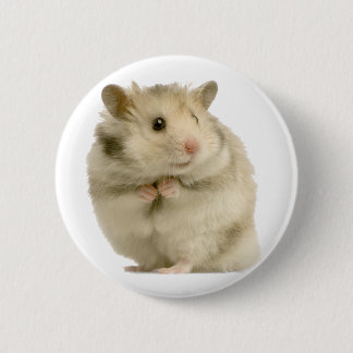 Hamster Button