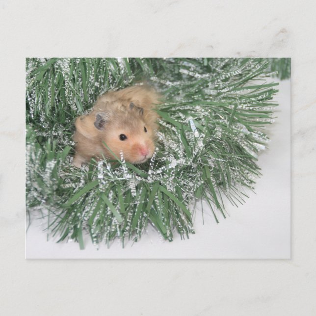 Hamster Christmas Feiertagspostkarte (Vorderseite)