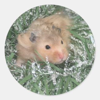 Hamster Christmas Runder Aufkleber