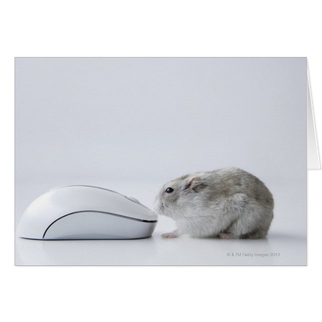 Hamster et souris d'ordinateur (Devant horizontal)