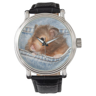 Hamster in blauer Jeans Armbanduhr