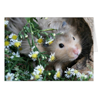 Hamster in Blume