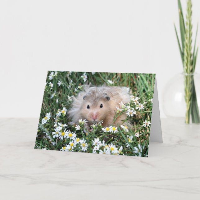 Hamster in Blume Karte (Vorderseite)