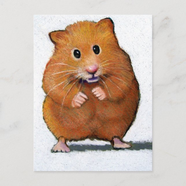 HAMSTER IN FARBPENCIL POSTKARTE (Vorderseite)