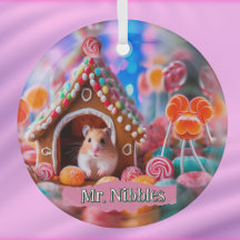 Hamster in Gingerbread House