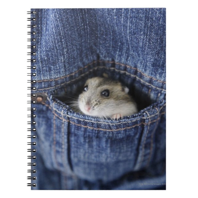 Hamster in Tasche Notizblock (Vorderseite)