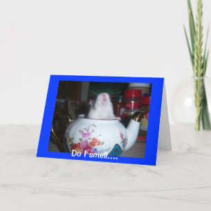 Hamster in Teekanne Karte