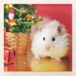 Hamster Kokolinka mit Weihnachtsbaum Glasuntersetzer