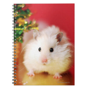 Hamster Kokolinka mit Weihnachtsbaum Notizblock