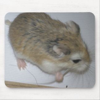 Hamster-Matte Mousepad