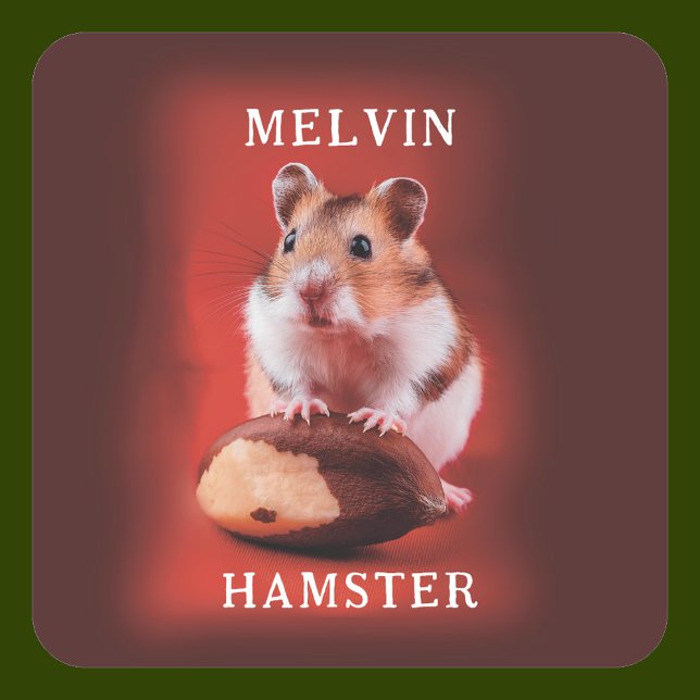 Hamster mit brasilianischer Nut Quadratischer Aufkleber (Von Creator hochgeladen)