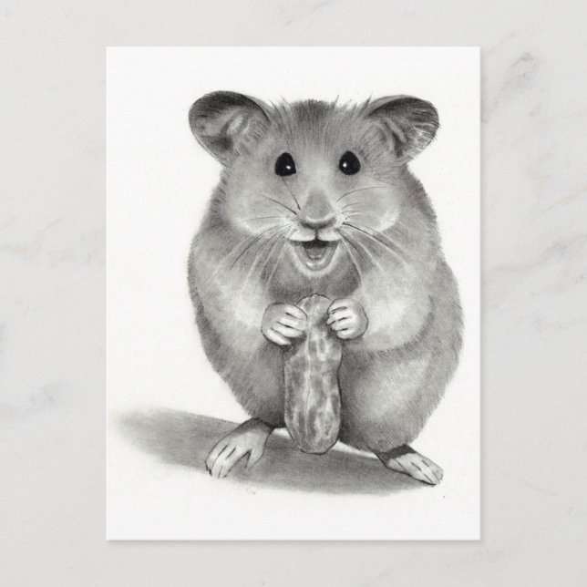 HAMSTER MIT PEANUT, PENCIL ART POSTKARTE (Vorderseite)