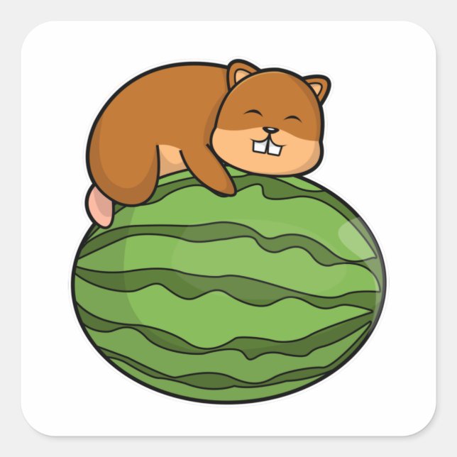 Hamster mit Watermelon Quadratischer Aufkleber (Vorderseite)
