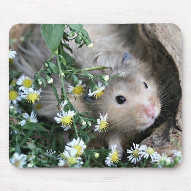 Hamster mousepad (Vorne)