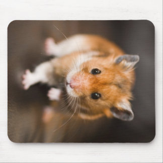Hamster Mousepad