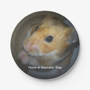 Hamster-PapierTeller Pappteller