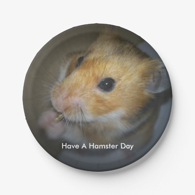 Hamster-PapierTeller Pappteller (Vorderseite)