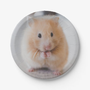 Hamster Pappteller