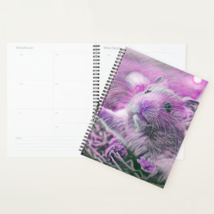 Hamster Planer