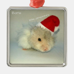 Hamster Sankt! Silbernes Ornament