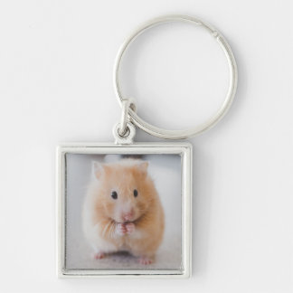 Hamster Schlüsselanhänger