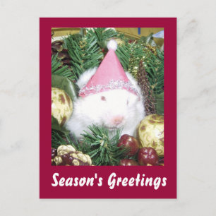 Hamster Season's Greetings Feiertagspostkarte