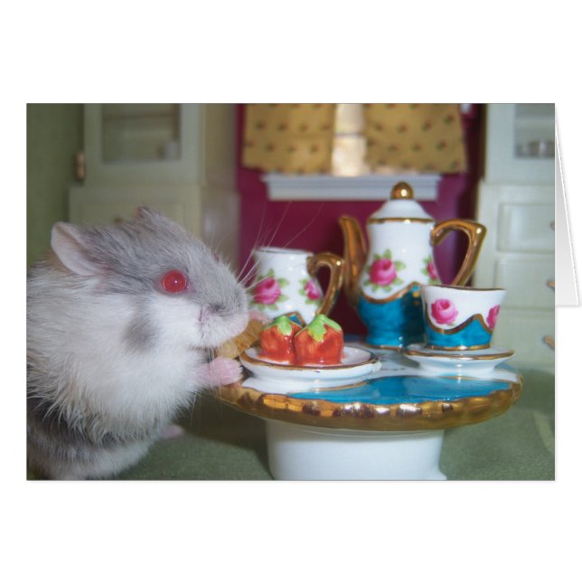 Hamster-Tee (Vorderseite (Horizontal))