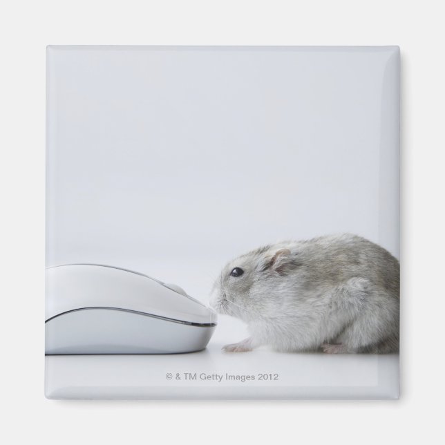 Hamster und Computermaus Magnet (Vorne)