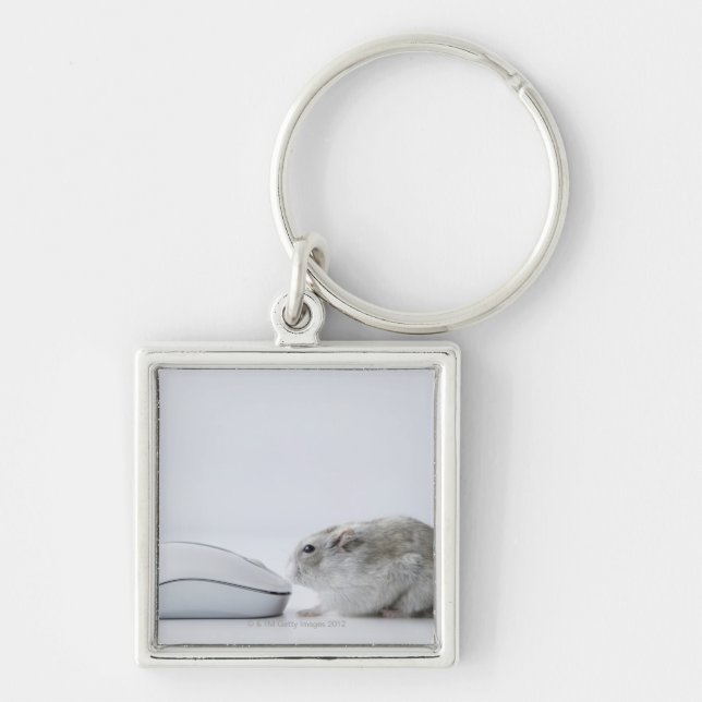 Hamster- und Computermaus Schlüsselanhänger (Vorne)