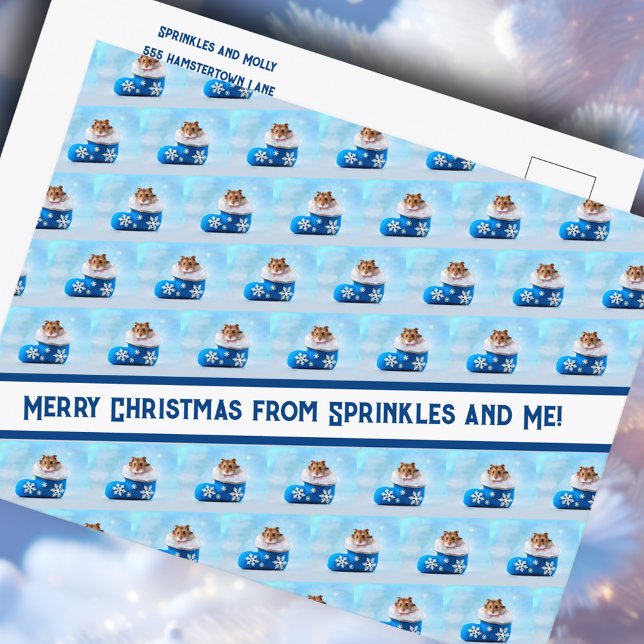 Hamster Weihnachts-Strumpf Foto Collage Feiertagspostkarte (Von Creator hochgeladen)