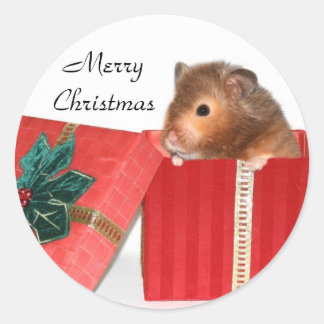 Hamster Weihnachtsgeschenk Runder Aufkleber