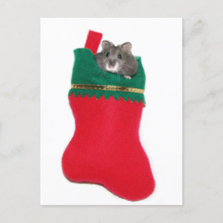Hamster-WeihnachtsStrumpf Feiertagspostkarte