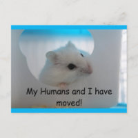 Hamster Wir haben die Postkarte verschoben