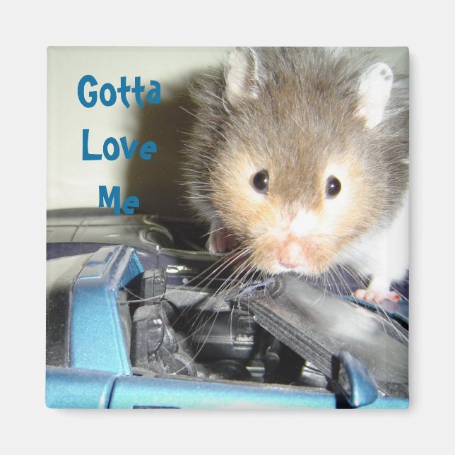 Hamsterliebe Magnet (Vorne)