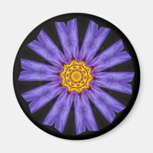 Hana Magnet