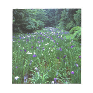 Hana Shobu (Japanische Schwertlilie), Meiji-Schrei Notizblock